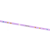 Purple Speed Stick 2